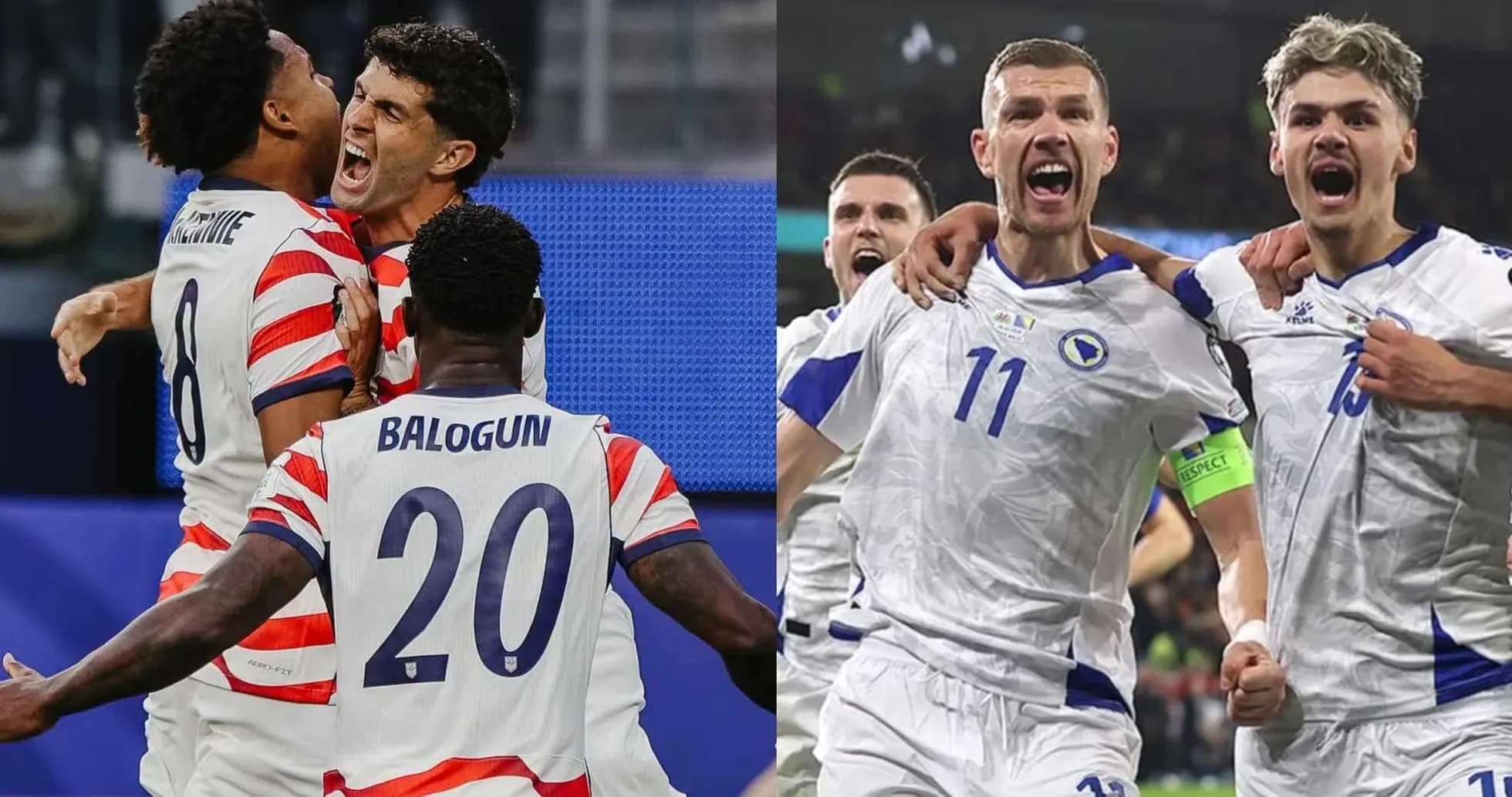 USA and Bosnia players celebrating during match