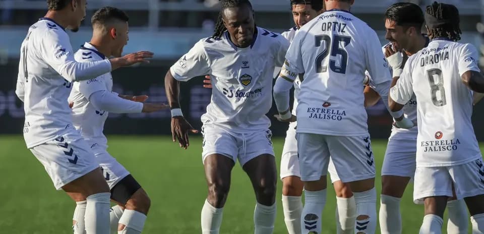 Players celebrating a goal during match