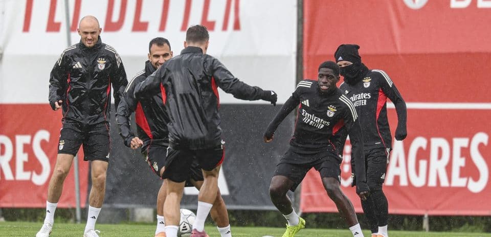 Benfica vs Real Madrid: UEFA Champions League Squad Update.jpg