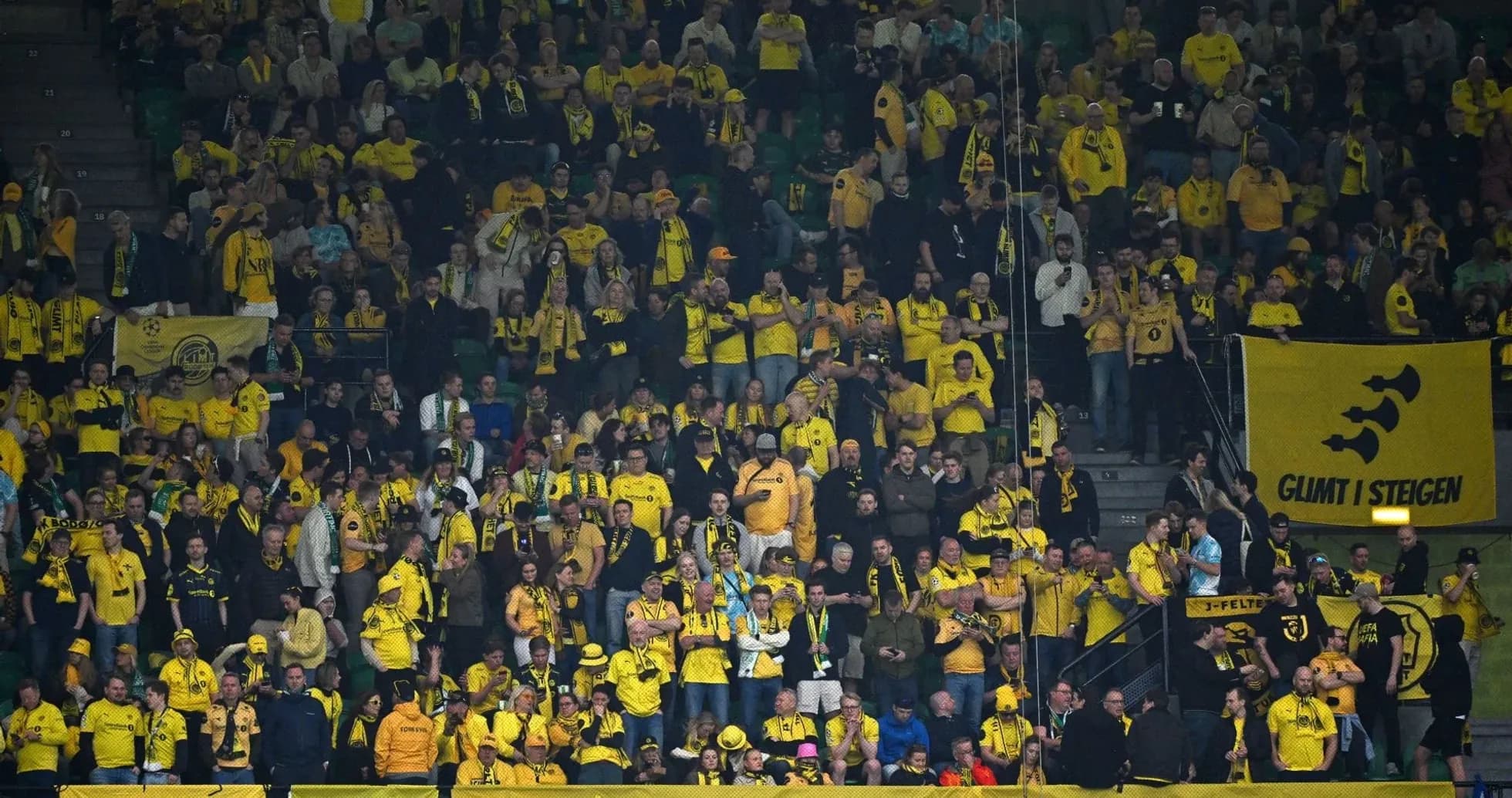 Bodo/Glimt fans cheering in the stadium