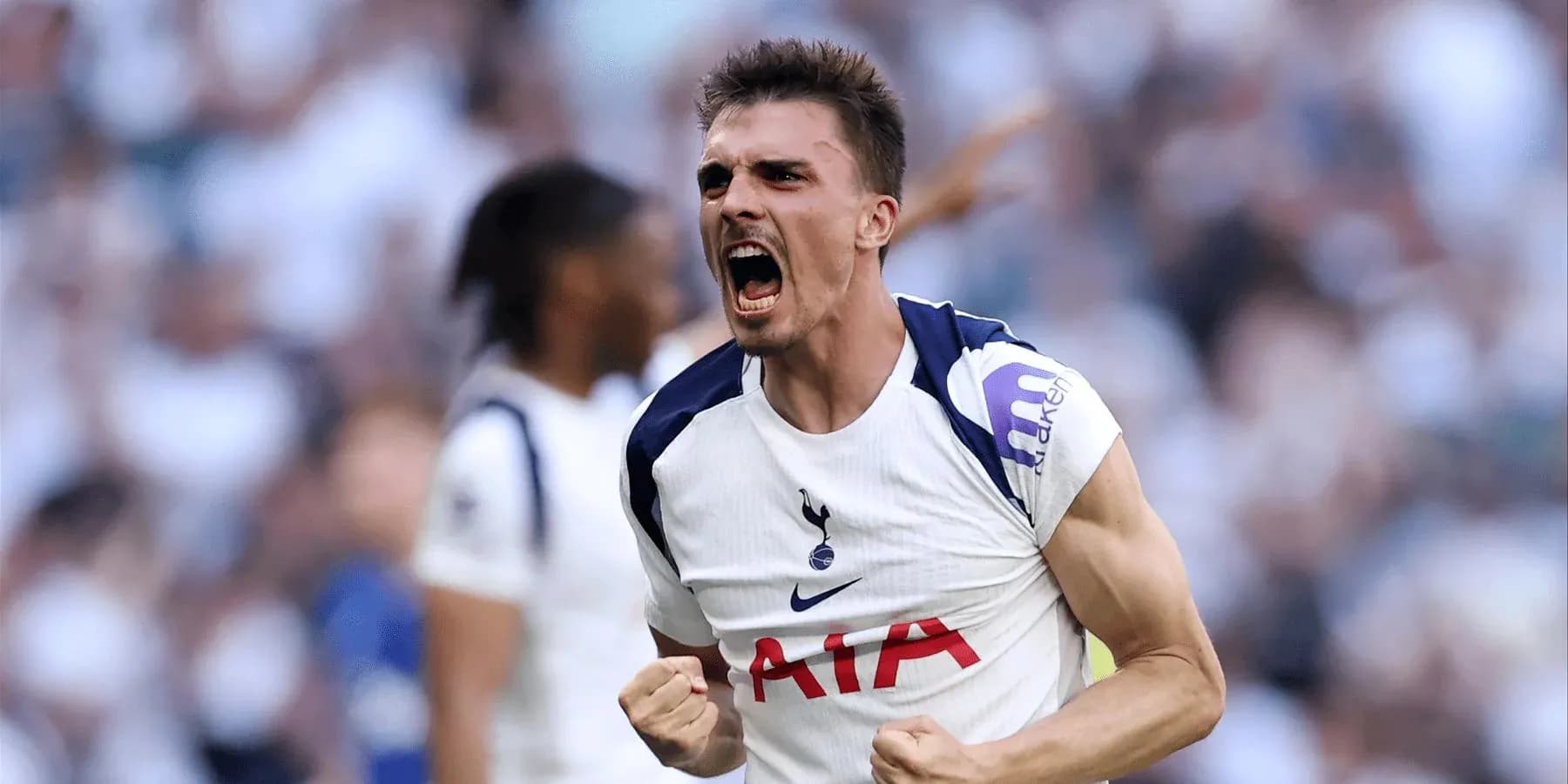 Tottenham player celebrating during the match