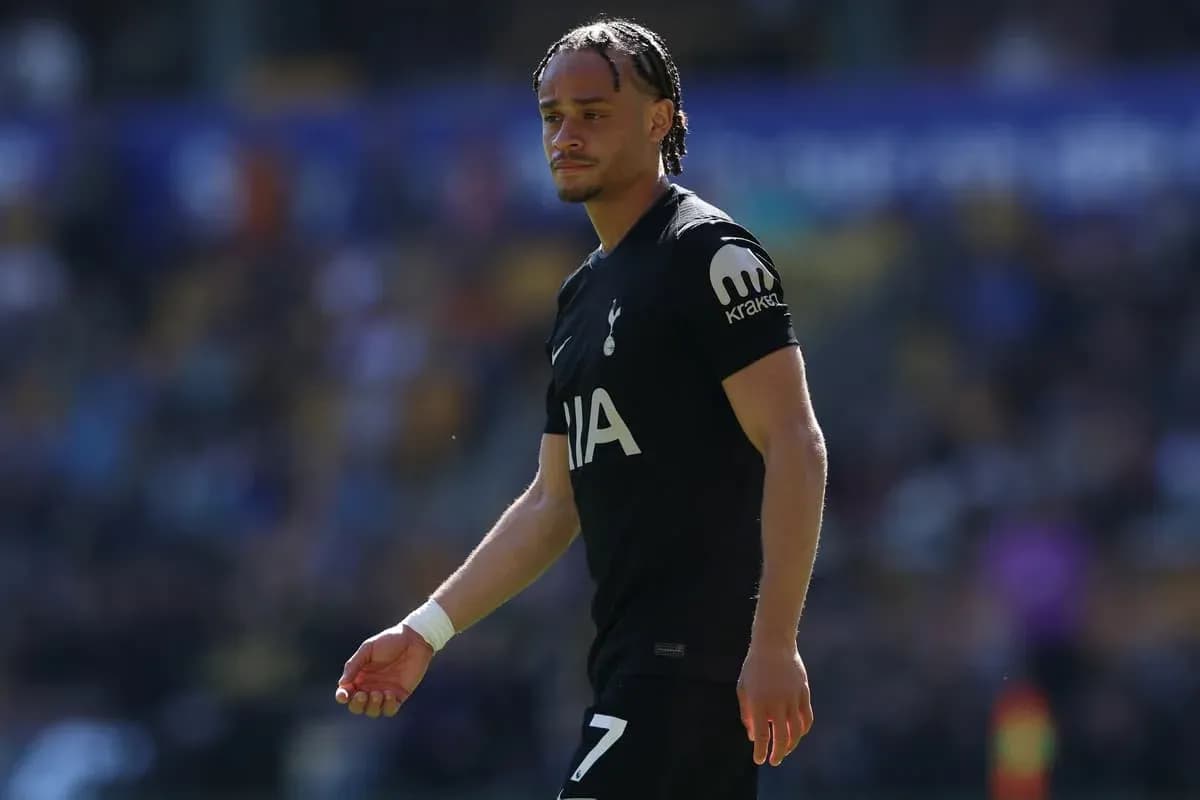 Player walking on pitch in Tottenham kit