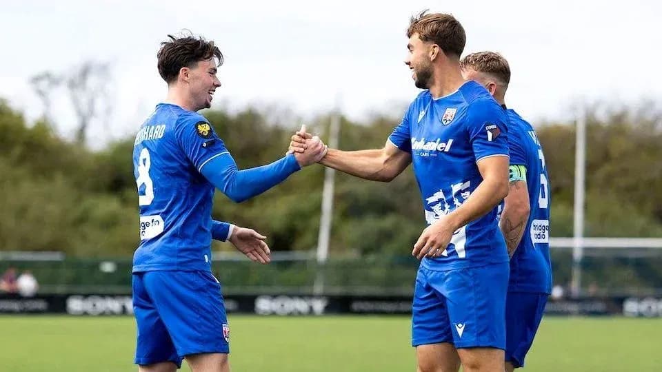 Players celebrating with handshake on the field