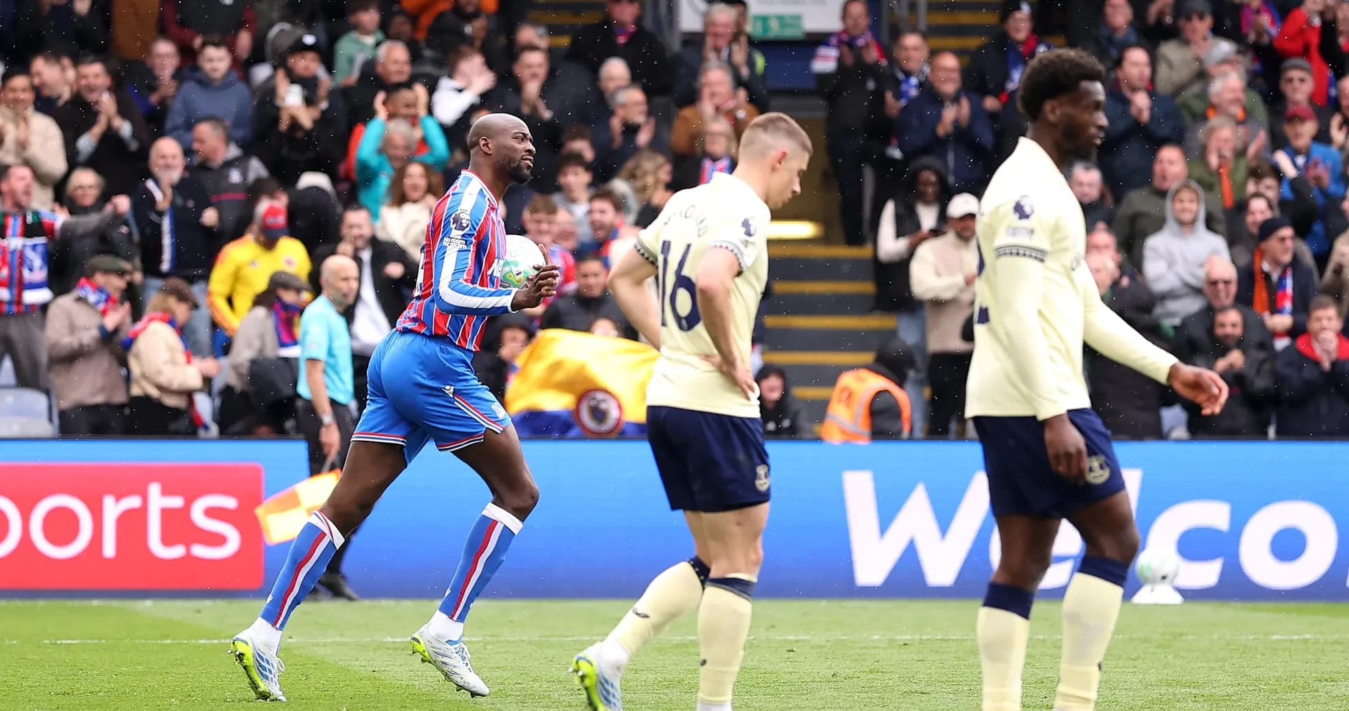 Crystal Palace player celebrating a goal against Everton Crystal Palace player celebrating a goal against Everton