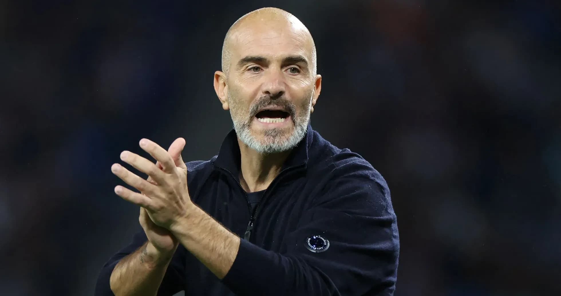 Coach gesturing and speaking during a match Coach gesturing and speaking during a match