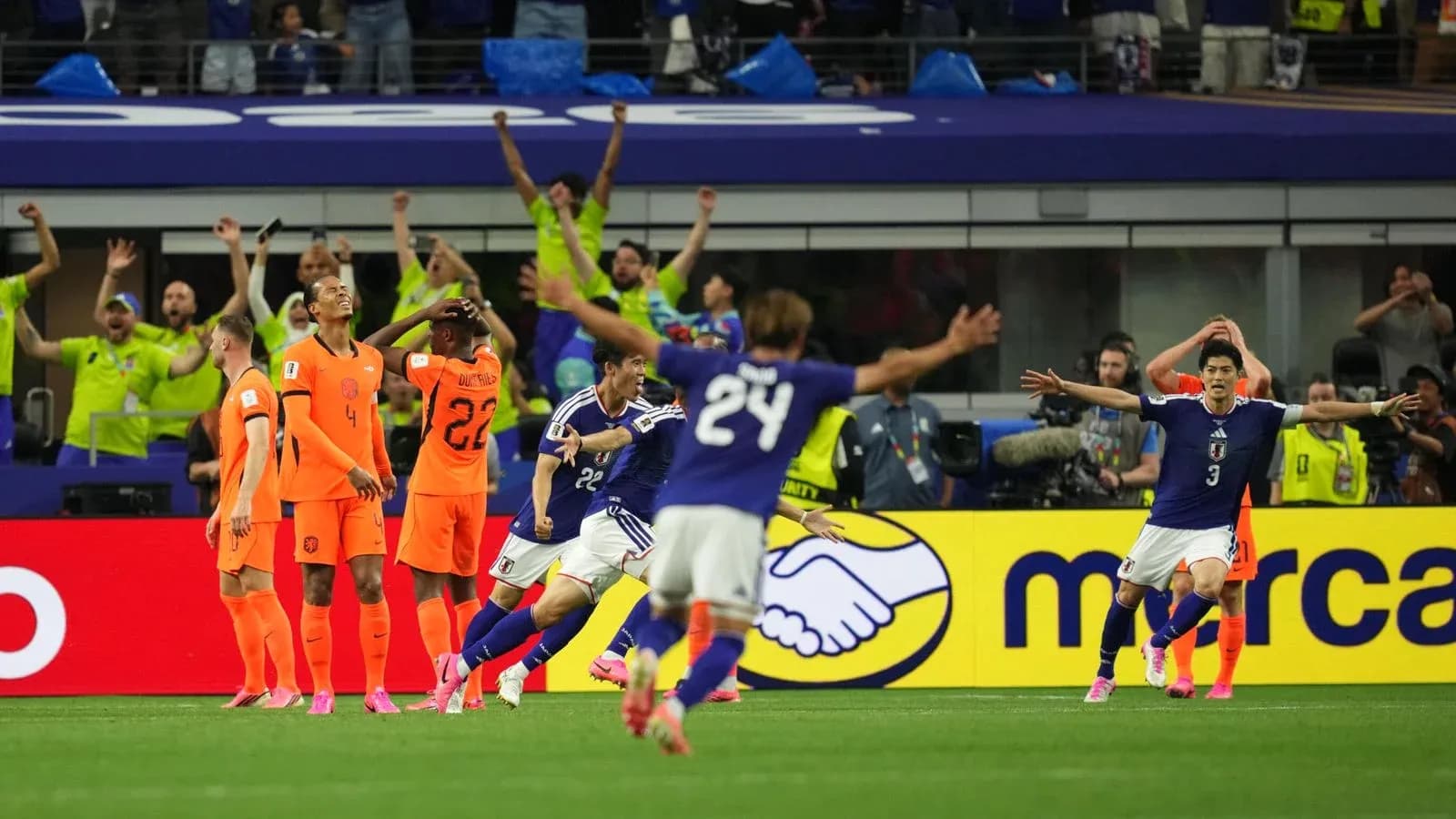 Players celebrating during Netherlands vs Japan match Players celebrating during Netherlands vs Japan match