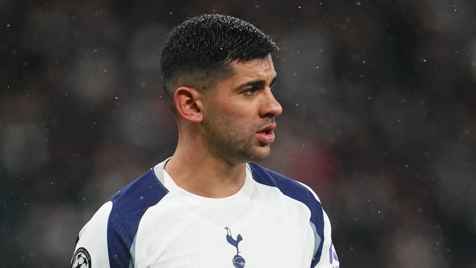 Player in Tottenham kit during match action Player in Tottenham kit during match action