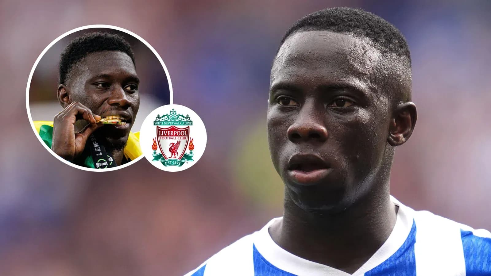 Player in focus during a match with Liverpool logo Player in focus during a match with Liverpool logo