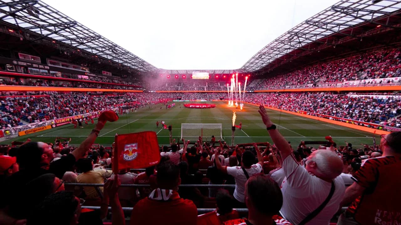 Fans celebrating during New York Red Bulls match Fans celebrating during New York Red Bulls match