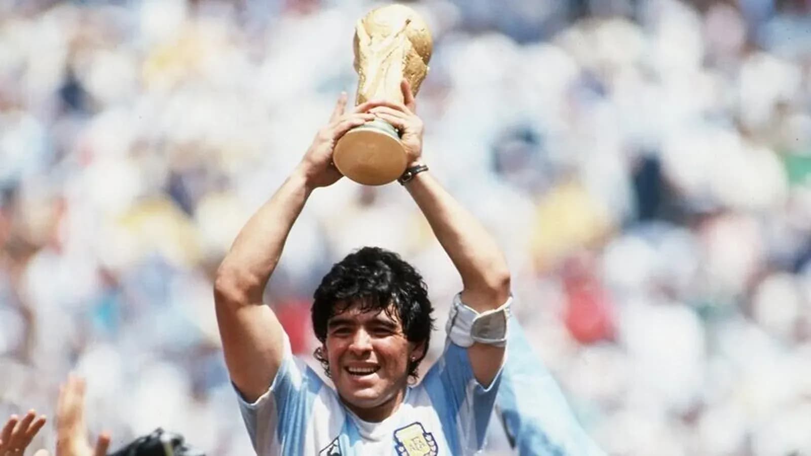 Player holding World Cup trophy in celebration Player holding World Cup trophy in celebration