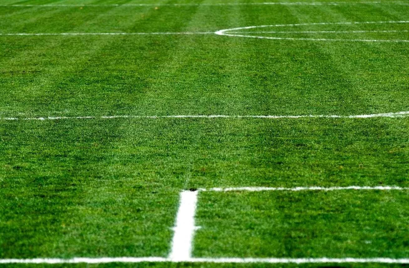 Close-up of a well-maintained football pitch Close-up of a well-maintained football pitch