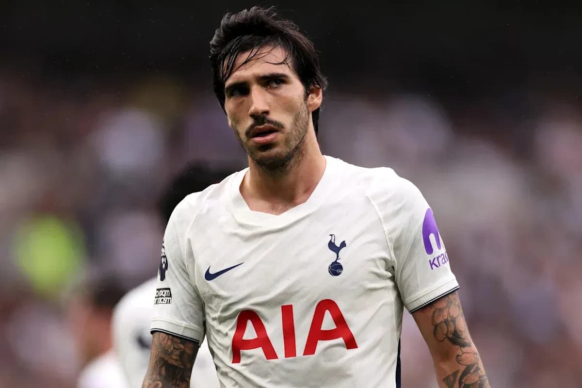 Player in Tottenham kit during match Player in Tottenham kit during match