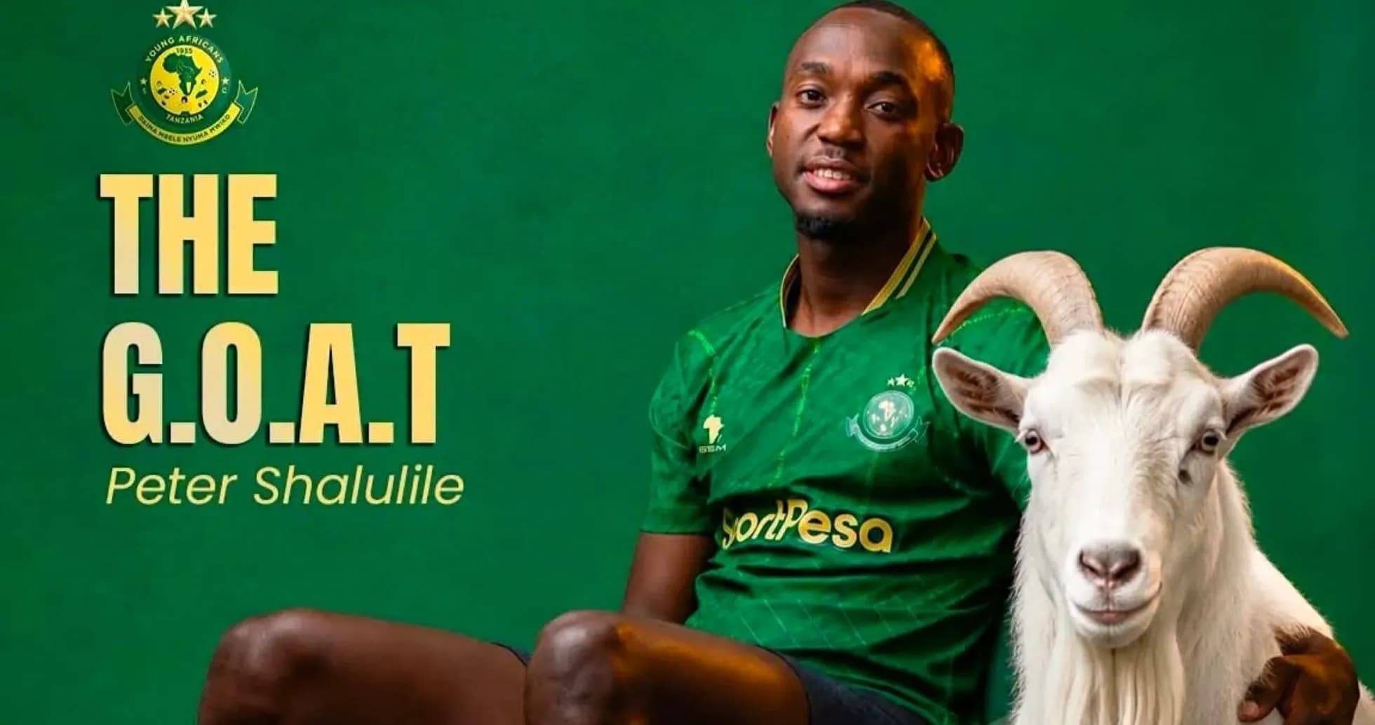 Player Peter Shalulile with a goat on green background Player Peter Shalulile with a goat on green background