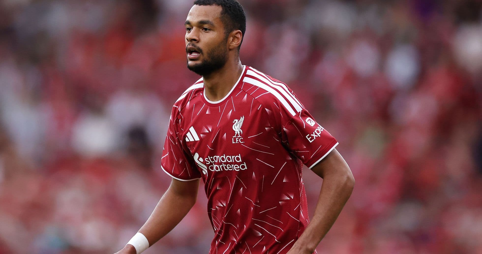 Iraola Hints at Possible Gakpo Departure as Liverpool Nears Deal for Barcola Iraola Hints at Possible Gakpo Departure as Liverpool Nears Deal for Barcola